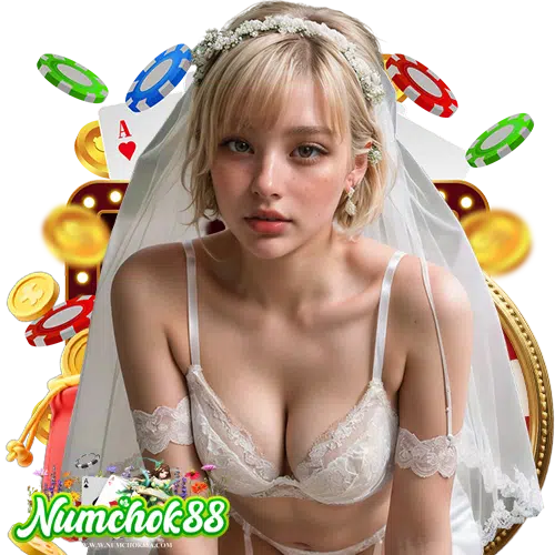 numchok88 API แท้ 100%